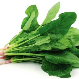 MENU_2673632cr_1709827813