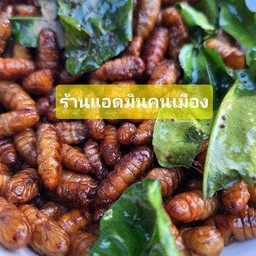 ดักแด้ทอด(หนอนไหมทอด)
