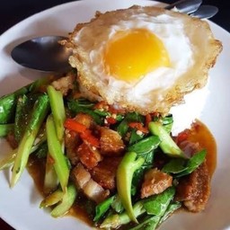 ผัดคะน้า