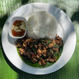 กะเพราลุงเป็ด