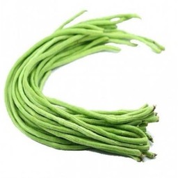 MENU_2673632cr_1709827972