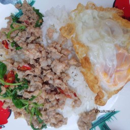 ข้าวกะเพราหมูสับ ไข่ดาว