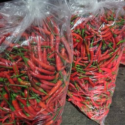 พริกแดง10 กิโลกรัม