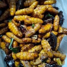 เด็ดดวงแมลงทอด