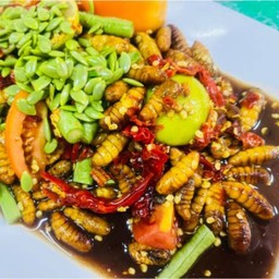เหลาดักแด้