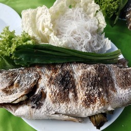 กะพงเผาเกลือ