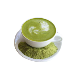 มัทฉะ ลาเต้ (ร้อน)