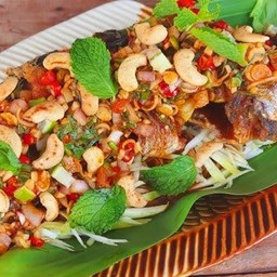 ปลากะพงลุยสวน