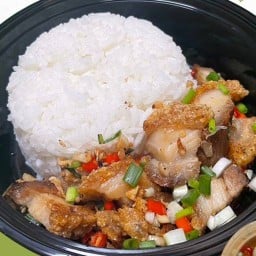 กะเพราริมรั้ว-สาขาราม 2