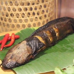 ปลาดุกย่าง
