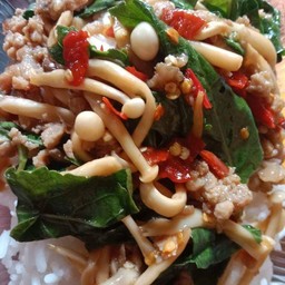 ข้าวกระเพราหมูสับใส่เห็ด
