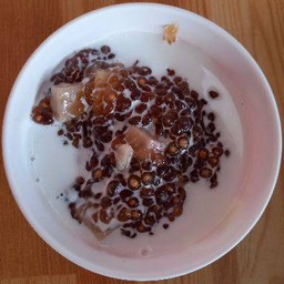 สาคูต้นพัทลุง