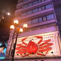 Dotonbori Glico Sign