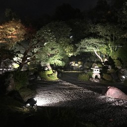 Chion-in Temple