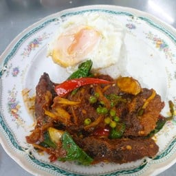 ผัดเผ็ดปลาดุก ราดข้าว(ราคาไม่รวมไข่ดาว)