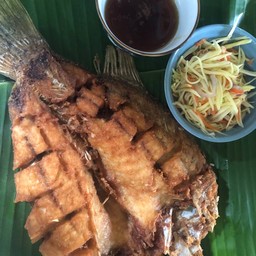 ปลากะพงน้ำปลา ตัว