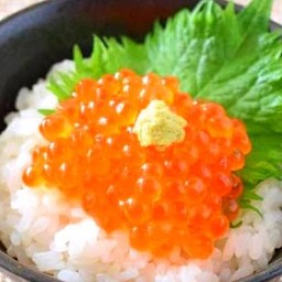 MINI IKURA DON