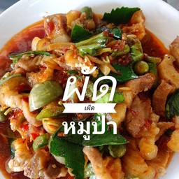 ผัดเผ็ดหมูป่ากับข้าว