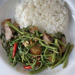 ข้าวกระเฉดหมูกรอบ