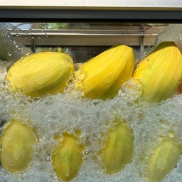 มะม่วง 3 รส แก้วขมิ้น