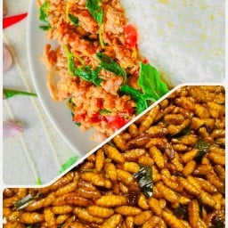กระเพราพริกแห้ง (อาหารตามสั่ง)