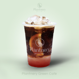 พิงค์เกรปฟรุตสปาร์กลิ้งอเมริกาโน่