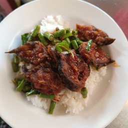 ผัดพริกแกงปลาดุกทอดกรอบ