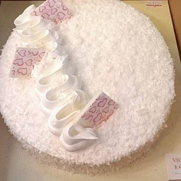 Queen of snow coconut cake