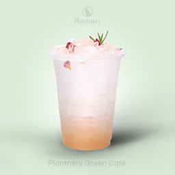 โรเซ่ลิ้นจี่โซดาเจลลี่