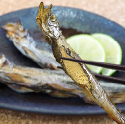 1227.SHISHAMO ABURI