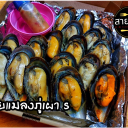 หอยแมลงภู่เผา ชุด S