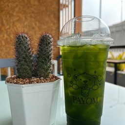 ชาเขียวมะนาว