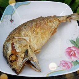 ร้านครัวคนเมือง(หน้า รร.อนุบาล)