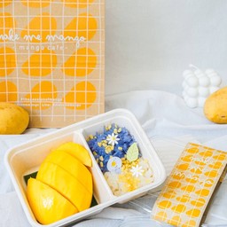 Mango Sticky Rice ข้าวเหนียวมะม่วง