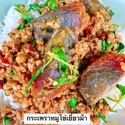 กระเพราหมูสับไข่เยี่ยวม้ากับข้าว