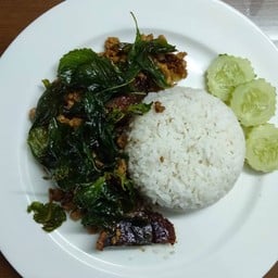 ร้านแจงไทยฟู้ดฮาลาล