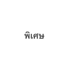 พิเศษ