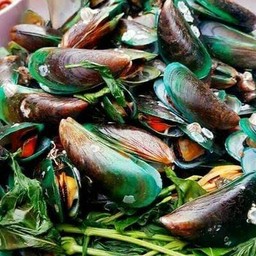 หอยแมลงภู่นึ่ง