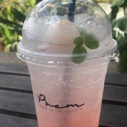 ลิ้นจี่โซดา