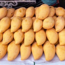 มะม่วงน้ำดอกไม้ครึ่งกก.