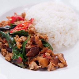 หมูสับผัดเห็ดหอมใบโหระพาราดข้าว