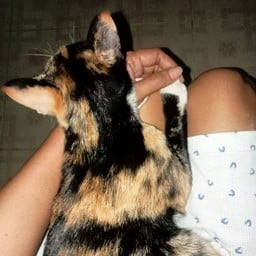 ร้าน รวย รวย ตามสั่ง