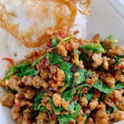 กระเพราต้นซอย ตะวันทอง3