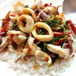 ผัดกะเพราปลาหมึกราดข้าว