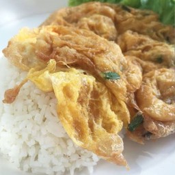 Minced Pork Omelette With Rice