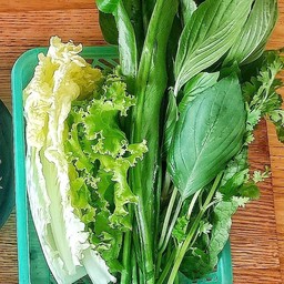 ชุดผักปลาเผา