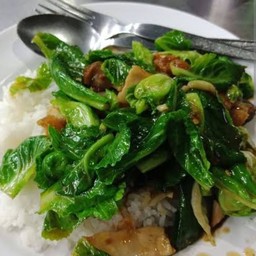 Stir Fried Branches With Rice