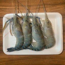 กุ้งแม่น้ำ