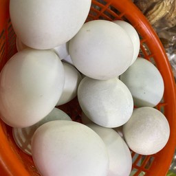 ไข่เค็ม (ฟอง)