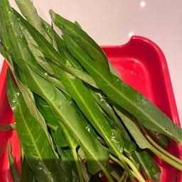 ผักบุ้งจีน